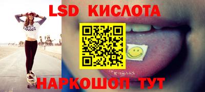 стаф Отрадный