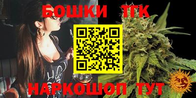 мдпв Беслан