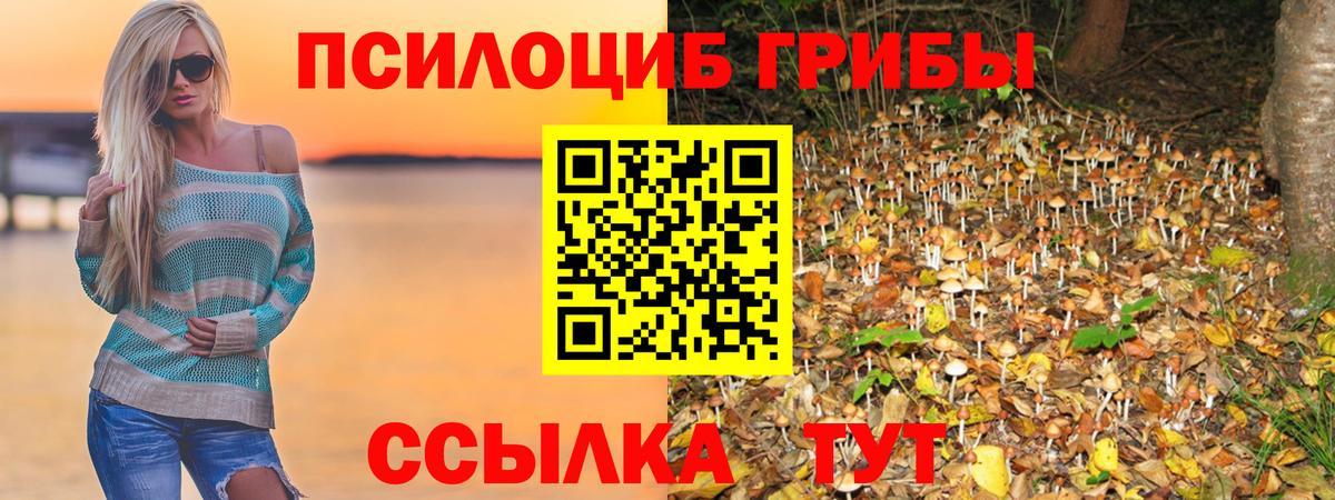 Псилоцибиновые грибы Magic Shrooms  Вход с VPN  Зеленокумск  Псилоцибиновые грибы ЛСД 